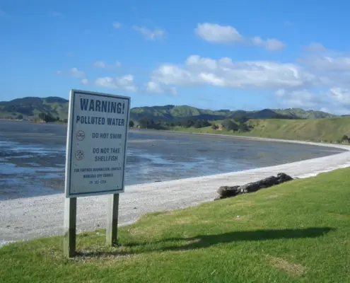 Septic Sewage Flowing into Bay Not Pure NZ