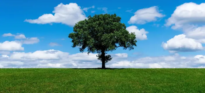 The carbon footprint of sewer technology choices Flovac