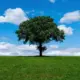 The carbon footprint of sewer technology choices Flovac