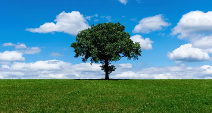 The carbon footprint of sewer technology choices Flovac