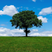 The carbon footprint of sewer technology choices Flovac